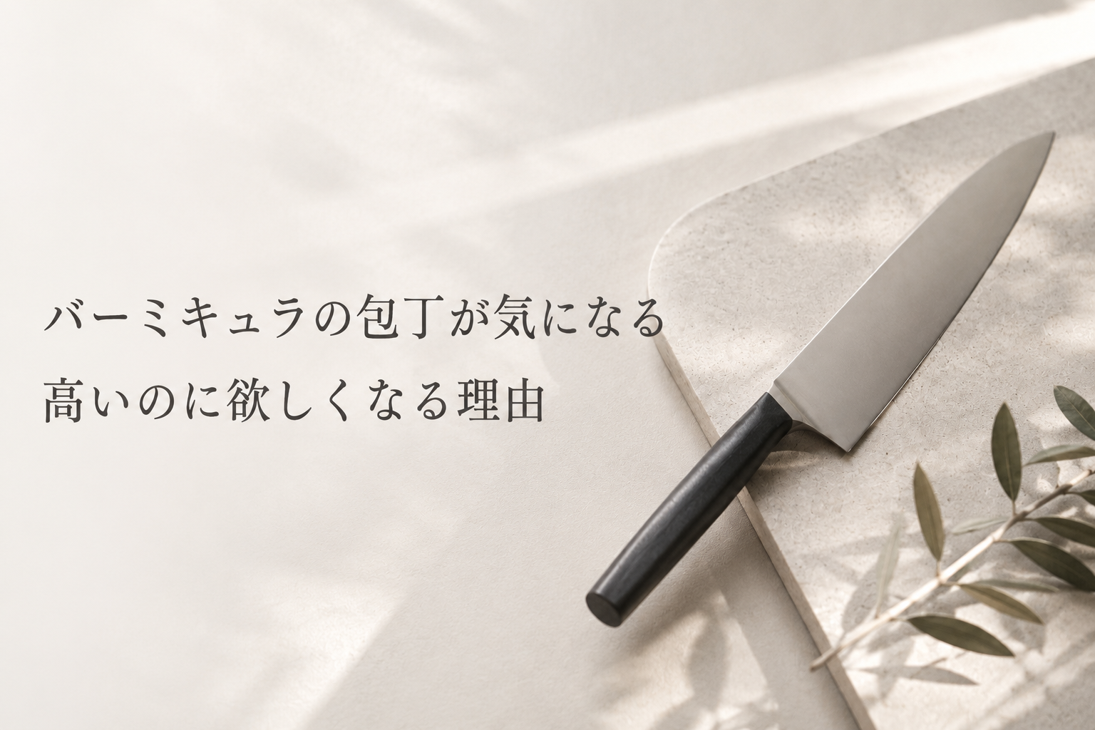 バーミキュラの包丁が気になる記事のアイキャッチ画像